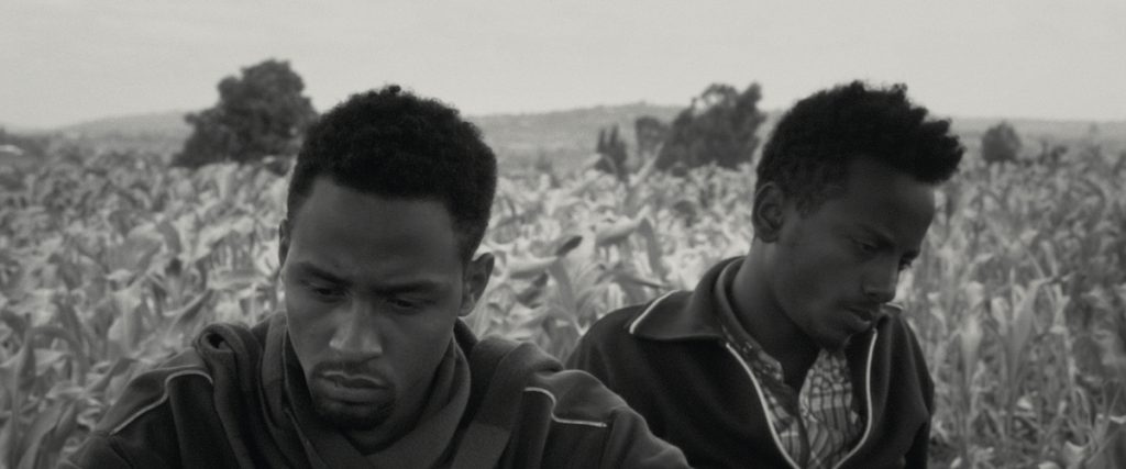 faya-dayi-movie-review-2021